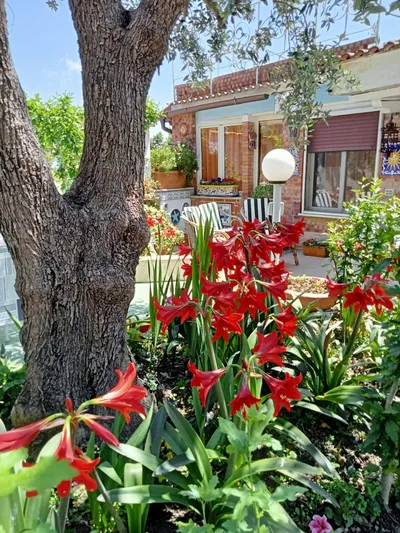 Apartment image 13 Apartment image 13