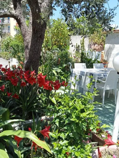 Apartment image 11 Apartment image 11